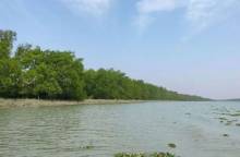 Sundarbans restricted upto Aug 31