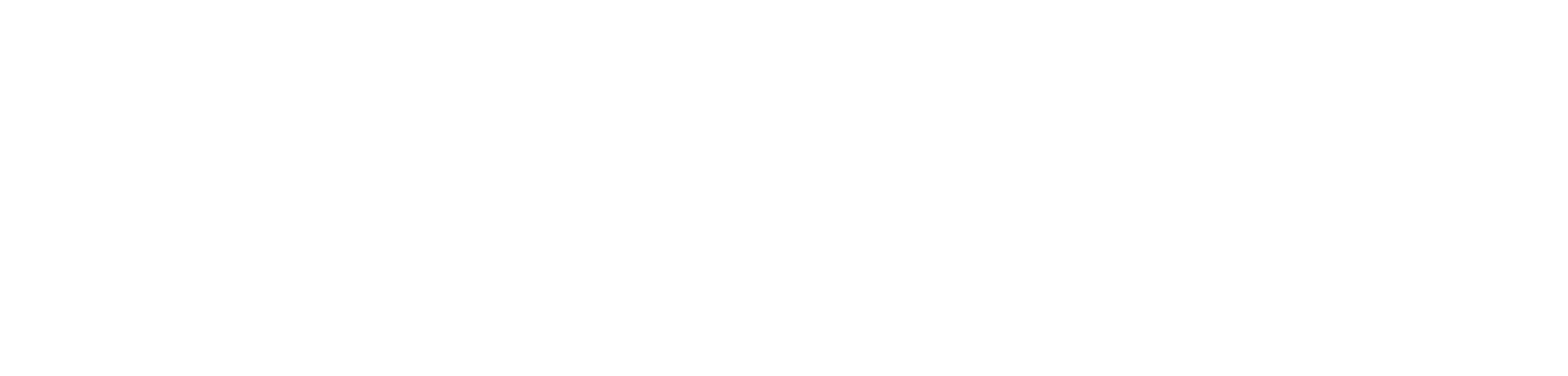 The Press Today logo
