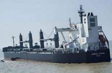 Govt. starts importing wheat from USA